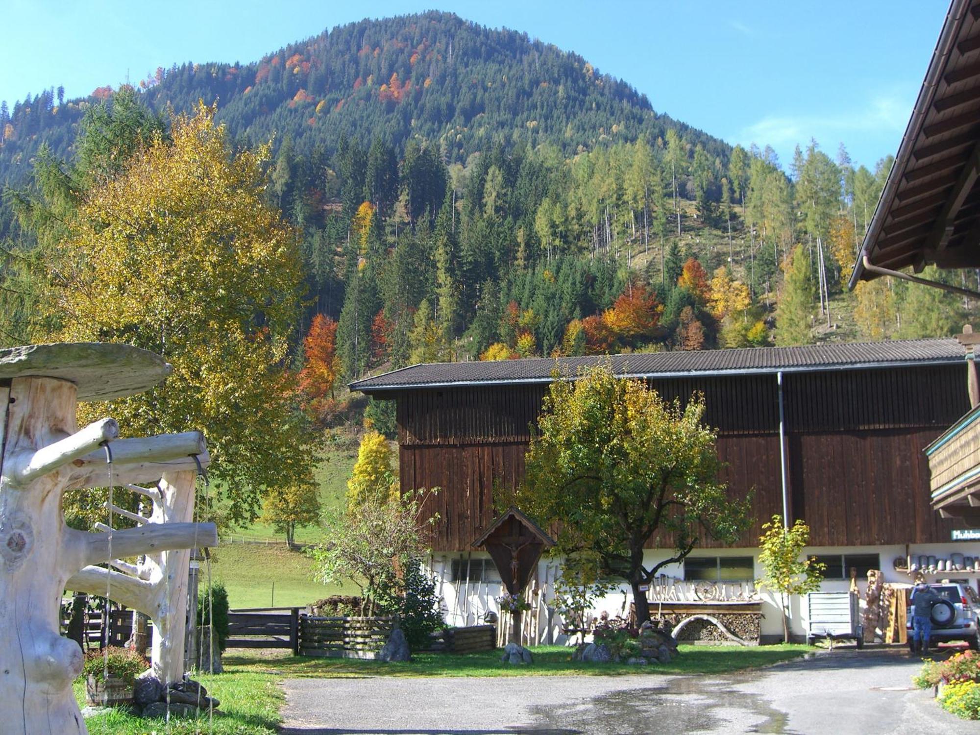 Obersinnlehenhof Майсхофен Екстериор снимка