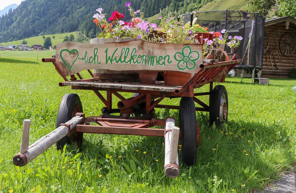 Obersinnlehenhof Майсхофен Екстериор снимка